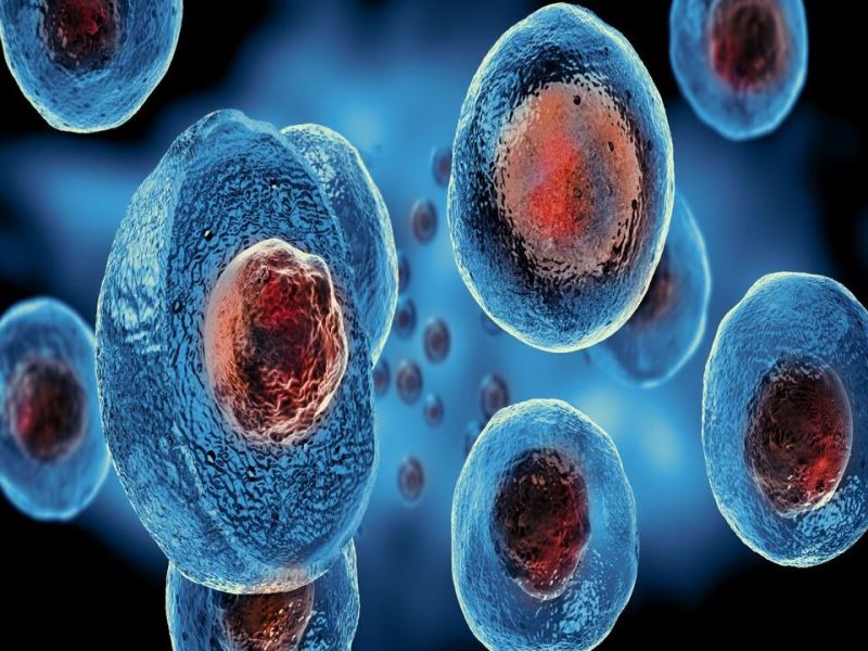 2019 諾貝爾生醫獎 進階篇 破解細胞感測氧氣與缺氧調節之謎 