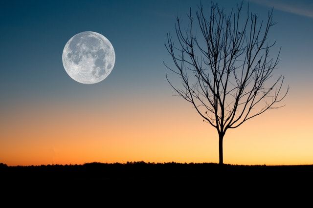 哈佛團隊提出最新理論模型闡述月球起源 