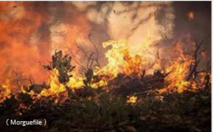 美西森林大火，終成空氣汙染集散地？
