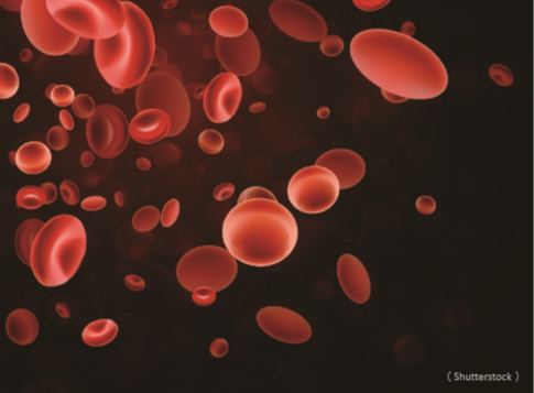 科學雙凹盤潛藏在紅血球中的微小差異