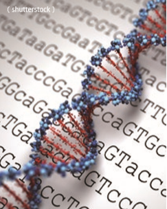 透過基因組定序數據顯示自然選擇消除對人類不利的遺傳變異