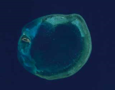 東沙珊瑚記錄21世紀人類排放氮對遠洋的影響