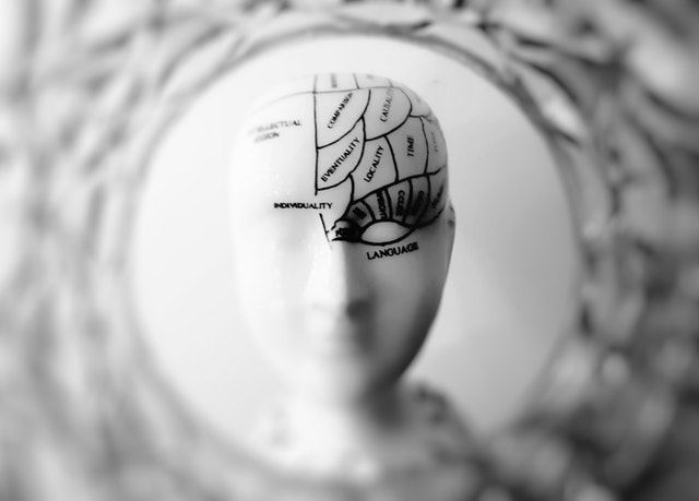 系統神經科學的觀點─腦袋裡到底裝些什麼東西？
