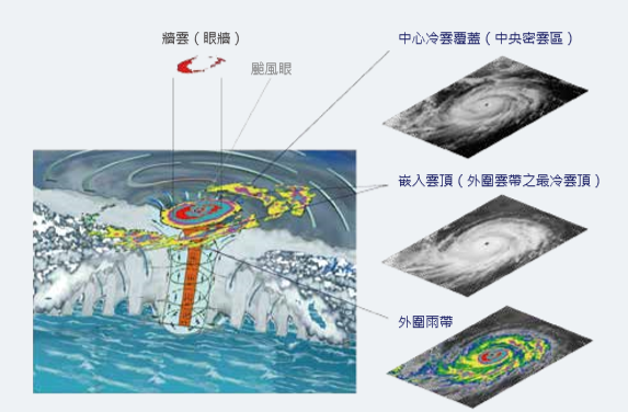 從衛星看颱風形成過程