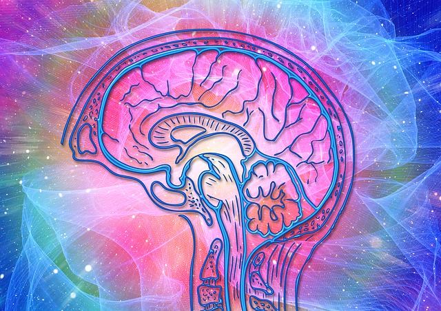 澳洲大學研發大腦晶片有助受損大腦的修復