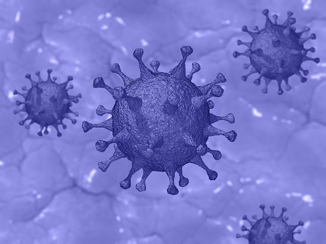 從病毒檢驗、疫情預測到藥物開發 如何面對COVID-19大爆發？
