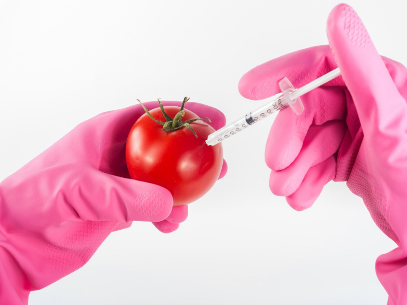 CRISPR技術在基礎研究及農產品、食品生產上的應用