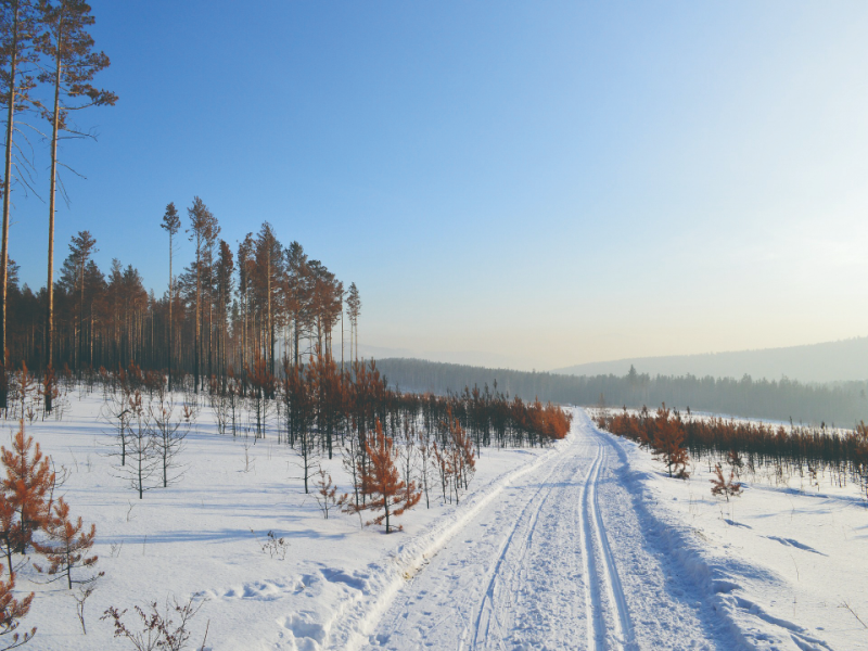 氣候變遷影響 西伯利亞未來將適合居住