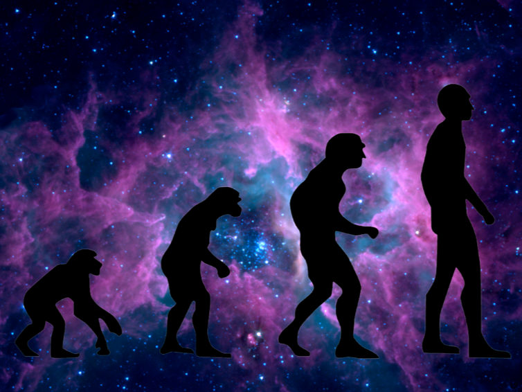 誰說科學家不支持演化論？從達爾文時代到現代的物種演化思想發展史