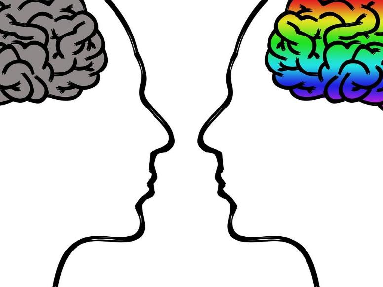 腦科學解密 變性者腦神經網路大不同