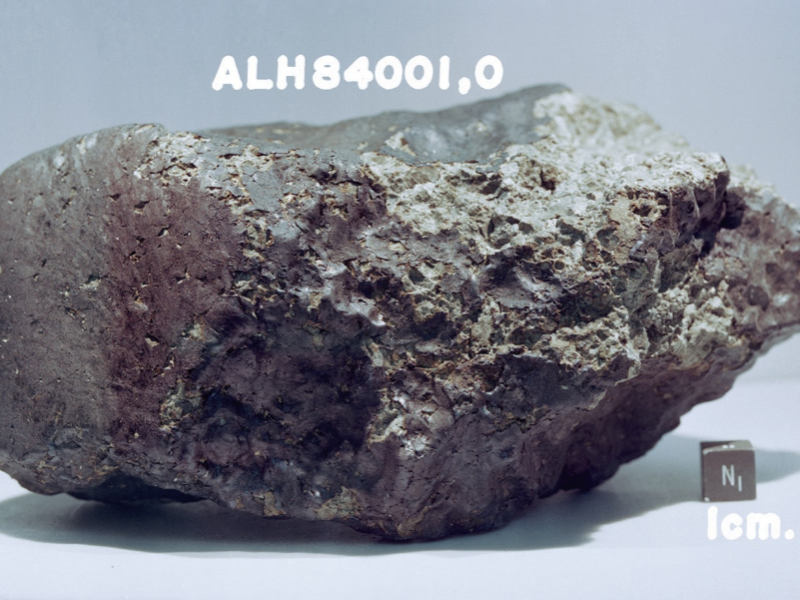 火星隕石的有機物從哪來