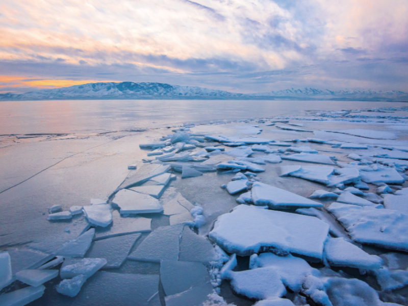 南極北極同時出現「熱浪」？動植物生態受哪些影響？