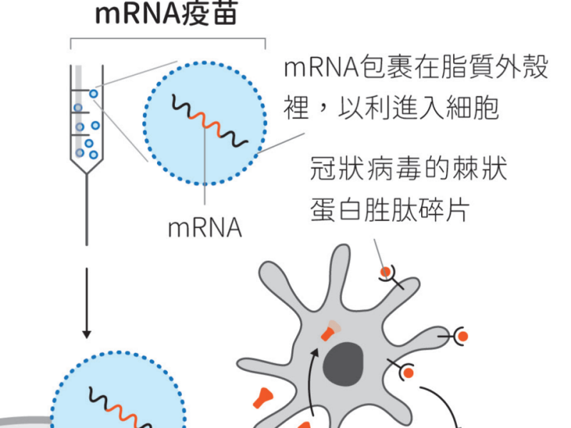 研發mRNA疫苗技術 帶領全世界對抗COVID-19