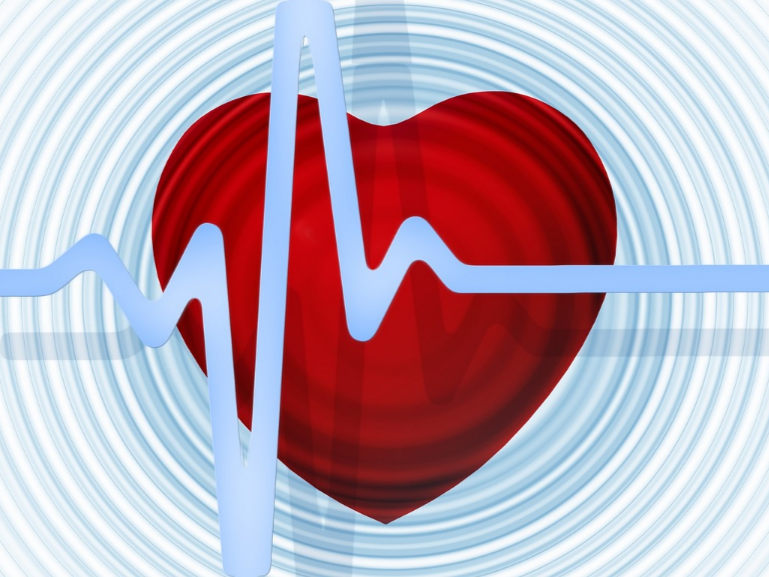 朝人造心臟更進一步，科學家重建心肌生長結構