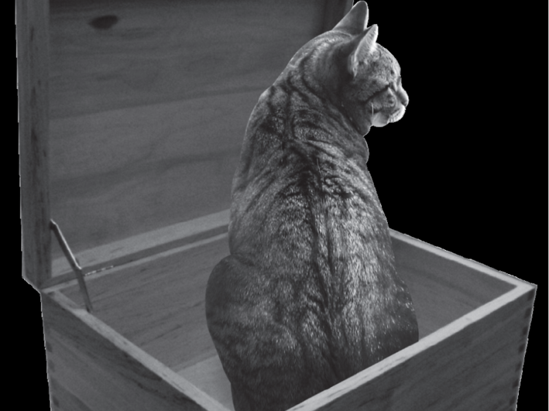 薛丁格貓可以有多胖？