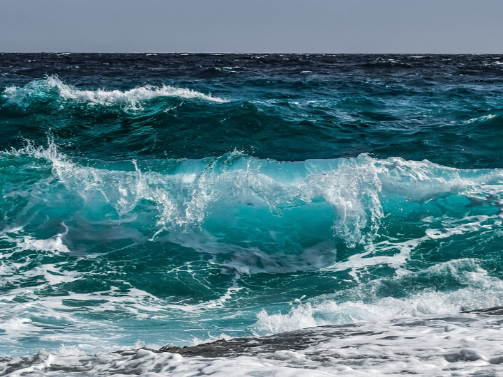 無法呼吸的海洋  海洋缺氧將如何影響海中生物？
