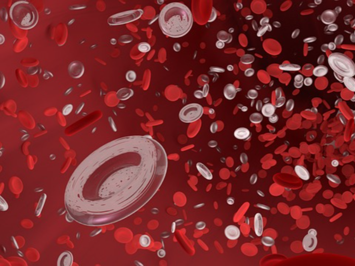 興大發表微血管晶片新製程 榮登《材料與設計》期刊封面