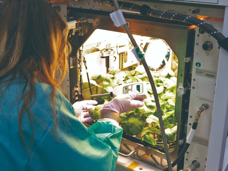 太空生物學驅動糧食供應新途徑