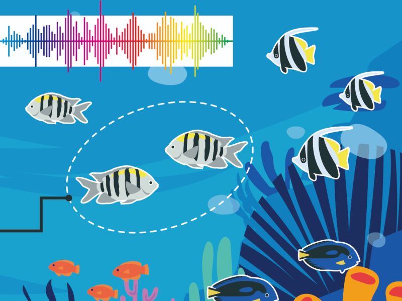 新型資料的研究方法 用基因、聲音、AI探索 生物多樣性新篇章！
