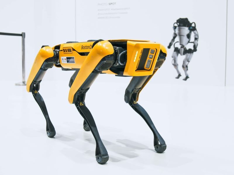 機器人為什麼跑不過動物？